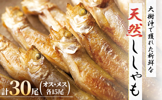大樹漁組　天然ししゃも オス・メス30尾(MSサイズ)【配送不可地域：離島】【1404991】