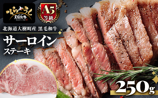 「天駆和牛(そらうし)」サーロイン ステーキ 250g A5 黒毛和牛 北海道十勝大樹町産【配送不可地域：離島】【1722135】
