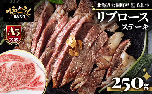 「天駆和牛(そらうし)」リブロース ステーキ 250g A5 黒毛和牛 北海道十勝大樹町産【配送不可地域：離島】【1722146】