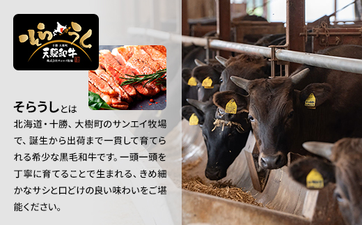「天駆和牛(そらうし)」サーロイン ステーキ 250g A5 黒毛和牛 北海道十勝大樹町産【配送不可地域：離島】【1722135】