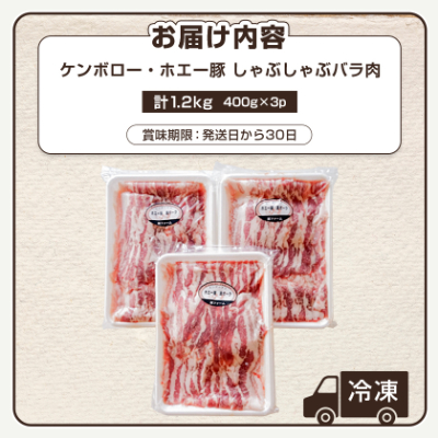 ケンボロー・ホエー豚 しゃぶしゃぶバラ肉1.2kgセット【CT-019】【配送不可地域：離島】【1396955】