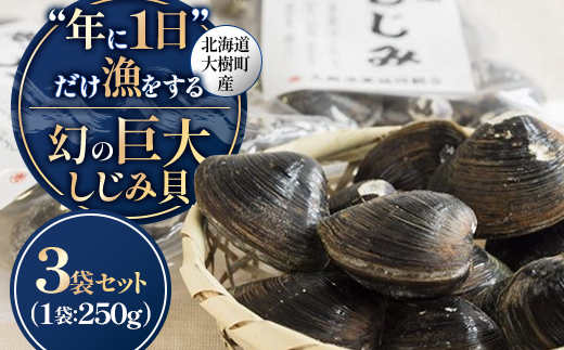 【数量限定】幻の「巨大しじみ貝」3袋セット(250g×3袋)【配送不可地域：離島】【1535325】