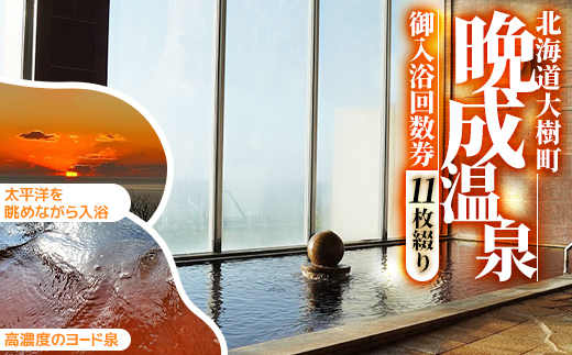 『晩成温泉』御入浴回数券　11枚綴り　1冊【1497431】