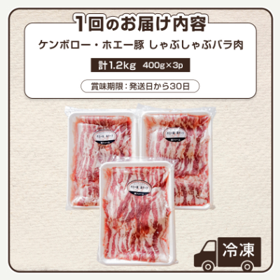 【毎月定期便】北海道十勝産 ホエー豚 しゃぶしゃぶバラ肉1.2kg(400g×3パック)全6回【配送不可地域：離島】【4010964】