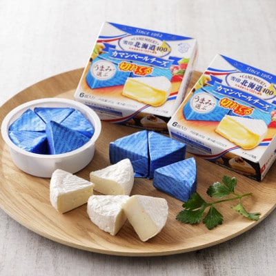 【2ヵ月毎定期便】雪印北海道カマンベールチーズ切れてるタイプ1箱(90g(6個入り)×10個全5回【配送不可地域：離島】【4014040】
