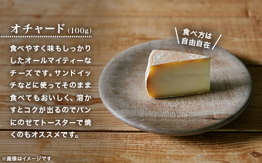 半田ファームの自家製チーズ 5種セット【配送不可地域：離島】【1721814】