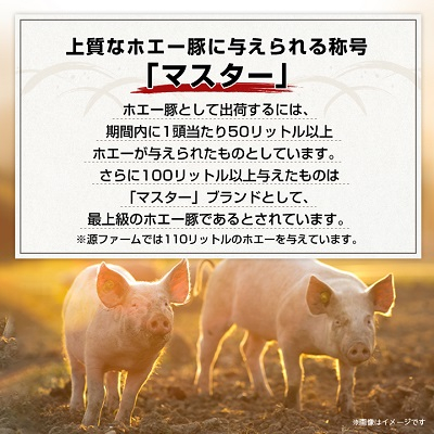 北海道十勝のグルメ!ホエー豚の豚丼セット(10人前)【CT-004】【配送不可地域：離島】【1396942】