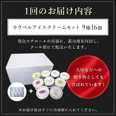 【毎月定期便】カウベルアイスクリーム9種16個セット 新鮮濃厚ミルク 北海道産素材全3回【配送不可地域：離島】【4008597】