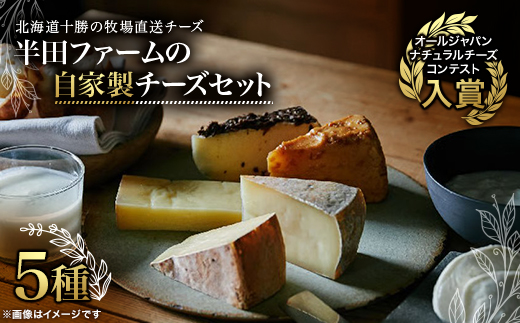 半田ファームの自家製チーズ 5種セット【配送不可地域：離島】【1721814】