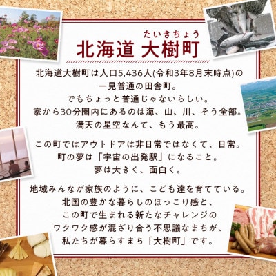 【毎月定期便】雪印北海道 カマンベールチーズ 1箱(90g×10個入り)全3回【配送不可地域：離島】【4014034】