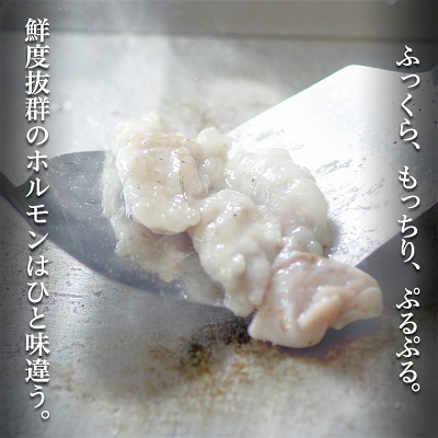 十勝姫 ホルモンMIXセット(味噌200g・塩だれ味200g各2パックずつ)【配送不可地域：離島】【1397563】