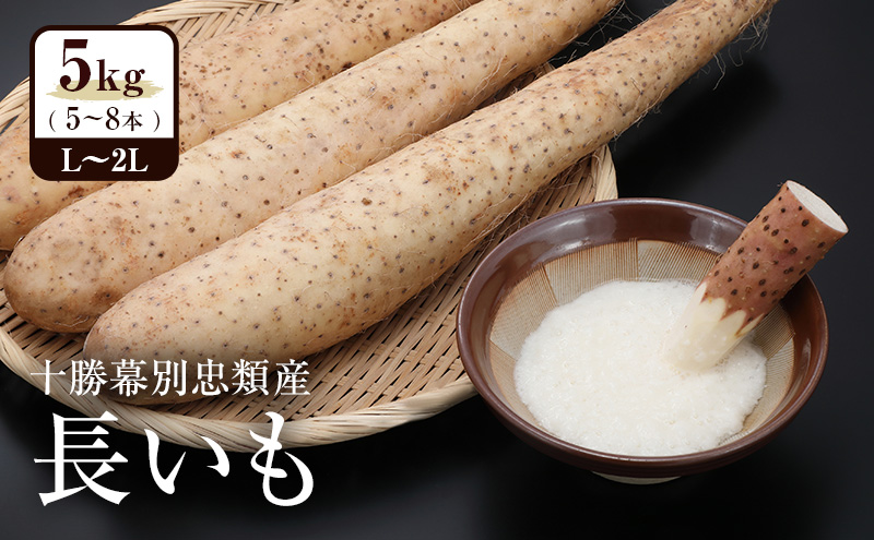 2026年12月発送 先行予約 十勝「忠類長いも」5kg (5～8本) L～2L［JA忠類］【 長芋 ながいも 山芋 芋 とろろ 野菜 根菜 産地直送 贈答 ギフト北海道 幕別 】