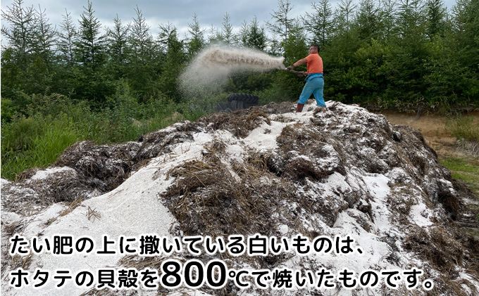 å
è¡äºçŽ/2026幎ç§çºé åæµ·é åå å¹å¥ç£ ããããã åæµ·ããã çŽ10kg ãæšªå±±èŸ²åã éè æ ¹è ãã©ã€ãããã ããããããã¹ å€è²ãã«ãã ç
®åŽ©ããã«ãã é»éè² åæµ·éã®ãžã£ã¬ã€ã¢