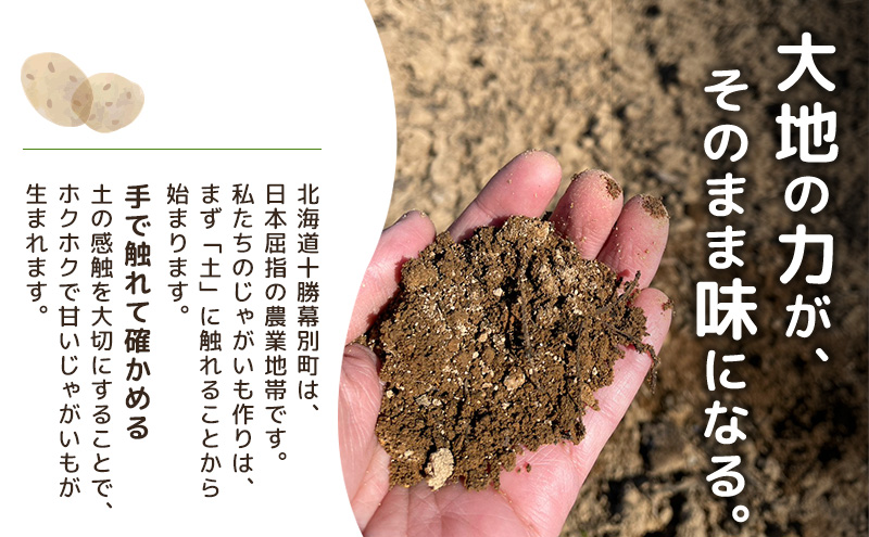 å
è¡äºçŽ/2026幎ç§çºé åæµ·é åå å¹å¥ç£ ããããã ãšãã çŽ10kg ãæšªå±±èŸ²åã éè æ ¹è 飿 ç
®åŽ©ããã«ãã ãµã©ã ç
®èŸŒã¿æç èããã ã«ã¬ãŒ ã·ãã¥ãŒ åæµ·éã®ãžã£ã¬ã€ã¢