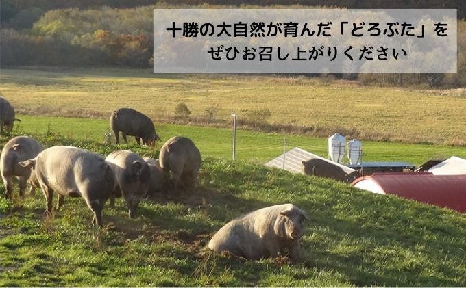 十勝幕別エルパソ牧場オリジナルブランド豚「どろぶた」加工品詰合せB