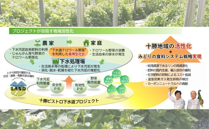 とうもろこし 恵味ゴールド 6本「じゅんかん育ち」【十勝BISTRO下水道プロジェクト】北海道 十勝 幕別町