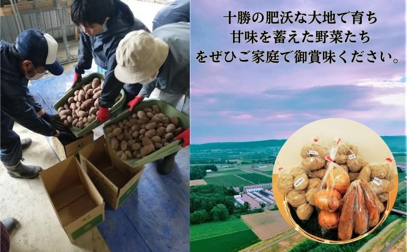 【農福連携】北海道十勝幕別町のこだわり秋野菜　中セット