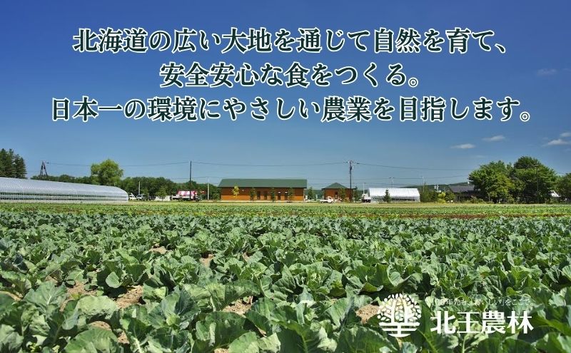 【農福連携】北海道十勝幕別町のこだわり秋野菜　大セット