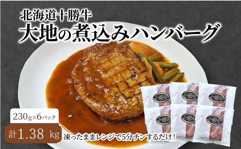 北海道 十勝牛 大地の煮込みハンバーグ230g×6パック 野菜入り お手軽レンチン【 セット 牛100% 国産牛 牛肉 ハンバーグ 惣菜 小分け 冷凍 牛肉100% 大きい レンジ 簡単 国産 北海道 十勝 幕別 ふるさと納税 送料無料 】