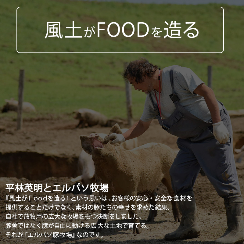 十勝幕別産ブランド放牧豚［どろぶた］人気商品ギフトセット【 北海道 豚肉 ハンバーグ ソーセージ とんかつ 】