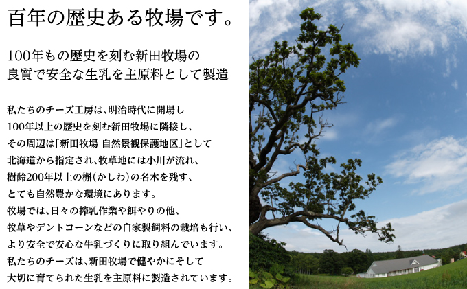 NEEDSオリジナルチーズ カチョカバロ200g×2個【十勝幕別町】北海道 十勝 チーズ ミルク