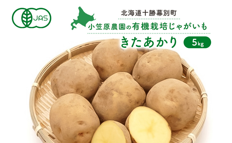 小笠原農園の有機じゃがいも「きたあかり」5kg【北海道十勝幕別】《2025年秋出荷先行予約》【  野菜 芋 じゃがいも きたあかり 北海道 幕別町 】