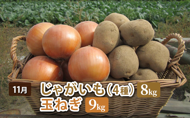 十勝幕別 北の畑のオーナーさん 人気の旬野菜 年3回定期便［2025年5月出荷開始］北海道ホープランド農場 【 アスパラ とうもろこし コーン じゃがいも ジャガイモ 玉ねぎ 野菜 定期便 】