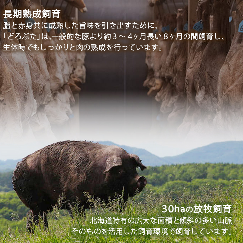 【メディアで多数紹介】 十勝幕別産ブランド放牧豚［どろぶた］豚ロース肉 200g×10枚 とんかつ・ソテー用カット【 北海道 豚肉 ロース とんかつ 大きい ジャンボ 生 おかず 】 