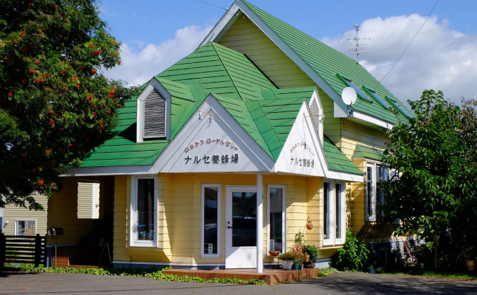 【純粋蜂蜜】北海道産 シナ蜂蜜 1kg ビン入り はちみつ ハチミツ