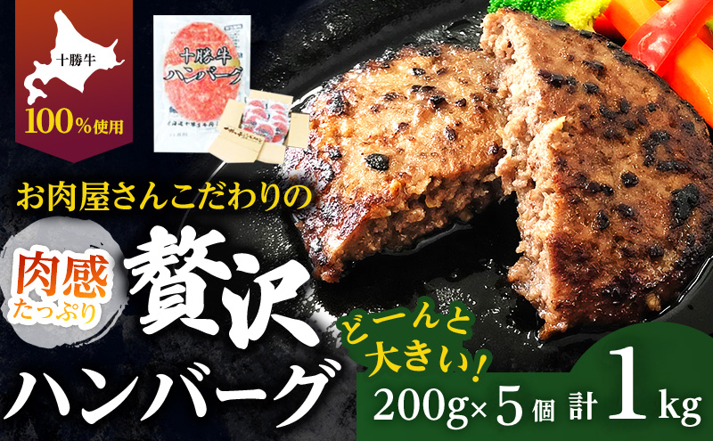 北海道 十勝牛 手ごねハンバーグ 200g×5個 【セット 牛100% 国産牛 牛肉 ハンバーグ 惣菜 小分け 冷凍 牛肉100% 大きい 国産 北海道 十勝 幕別 ふるさと納税 送料無料 】