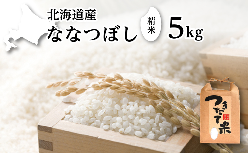 北海道産 ななつぼし 5kg［令和6年産］【 精米 米 白米 ご飯 お米 ごはん 国産 ブランド米 おにぎり ふっくら 常温 送料無料 】