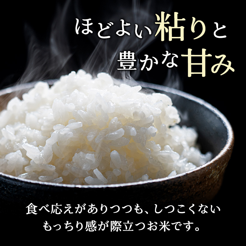 北海道産 ゆめぴりか 5kg［令和6年産］【 精米 米 白米 ご飯 お米 ごはん 国産 ブランド米 おにぎり ふっくら 常温 送料無料 】