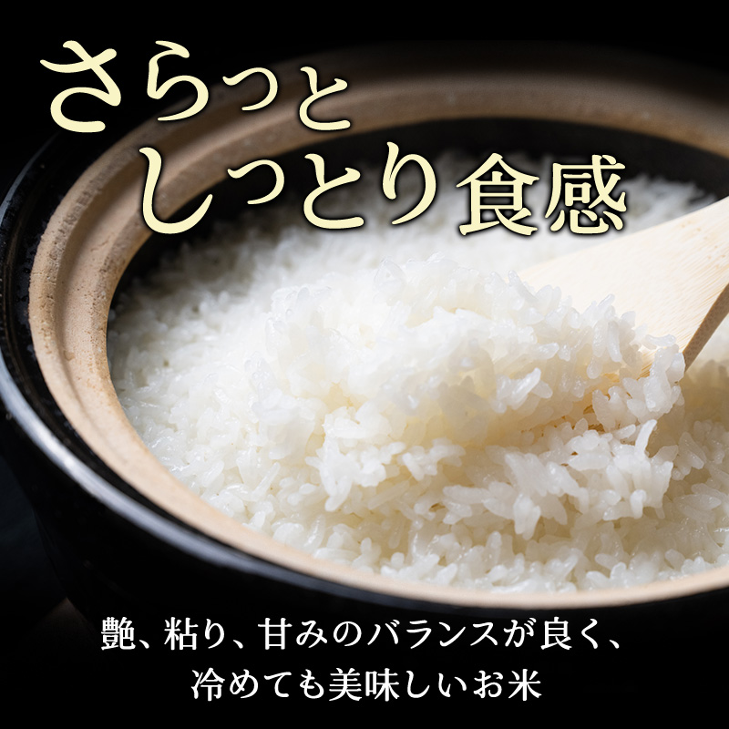 北海道産 ななつぼし 5kg［令和6年産］【 精米 米 白米 ご飯 お米 ごはん 国産 ブランド米 おにぎり ふっくら 常温 送料無料 】