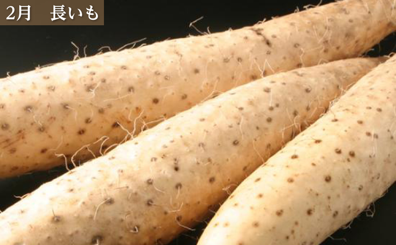 十勝幕別の定期便 旬野菜 年4回お届け（長いも・アスパラガス・とうもろこし・じゃがいも）【 長芋 アスパラ コーン いも ジャガイモ 産地直送 定期便 北海道 十勝 幕別 】