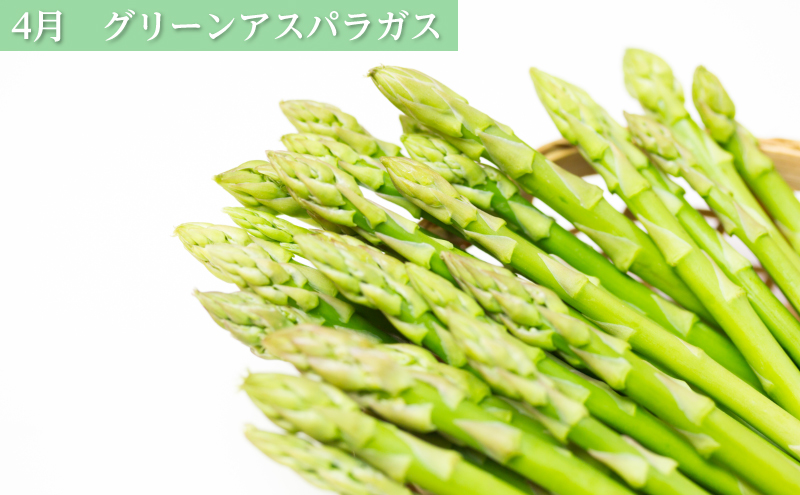 十勝幕別の定期便 旬野菜 年4回お届け（長いも・アスパラガス・とうもろこし・じゃがいも）【 長芋 アスパラ コーン いも ジャガイモ 産地直送 定期便 北海道 十勝 幕別 】