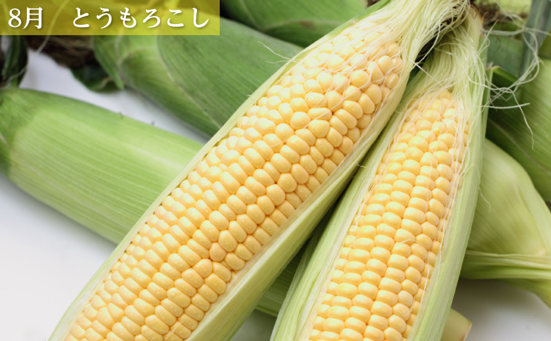 十勝幕別の定期便 旬野菜 年4回お届け（長いも・アスパラガス・とうもろこし・じゃがいも）【 長芋 アスパラ コーン いも ジャガイモ 産地直送 定期便 北海道 十勝 幕別 】