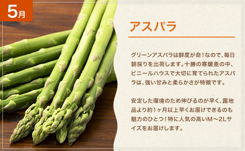 十勝幕別の定期便 旬野菜 年4回お届け（長いも・アスパラガス・とうもろこし・じゃがいも）【 長芋 アスパラ コーン いも ジャガイモ 産地直送 定期便 北海道 十勝 幕別 】