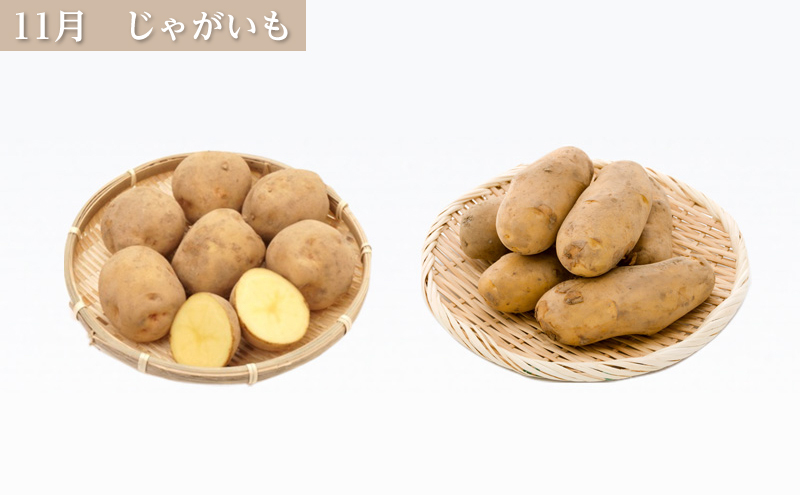 十勝幕別の定期便 旬野菜 年4回お届け（長いも・アスパラガス・とうもろこし・じゃがいも）【 長芋 アスパラ コーン いも ジャガイモ 産地直送 定期便 北海道 十勝 幕別 】