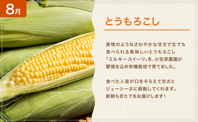 十勝幕別の定期便 旬野菜 年4回お届け（長いも・アスパラガス・とうもろこし・じゃがいも）【 長芋 アスパラ コーン いも ジャガイモ 産地直送 定期便 北海道 十勝 幕別 】