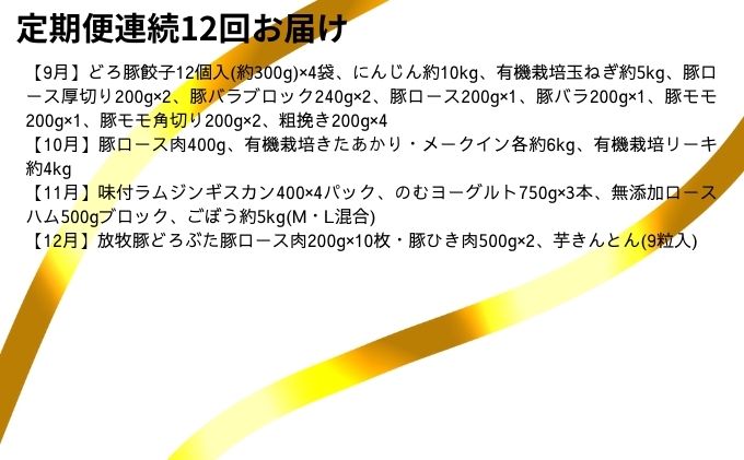 十勝幕別の定期便 1年間たっぷり年12回お届け【B】