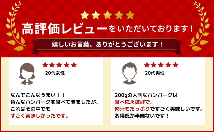 北海道 十勝牛 手ごねハンバーグ 200g×4個【セット 牛100% 国産牛 牛肉 ハンバーグ 惣菜 小分け 冷凍 牛肉100% 大きい 国産 北海道 十勝 幕別 ふるさと納税 送料無料 】