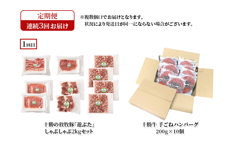 十勝幕別の定期便 牛肉と豚肉 年3回お届け 