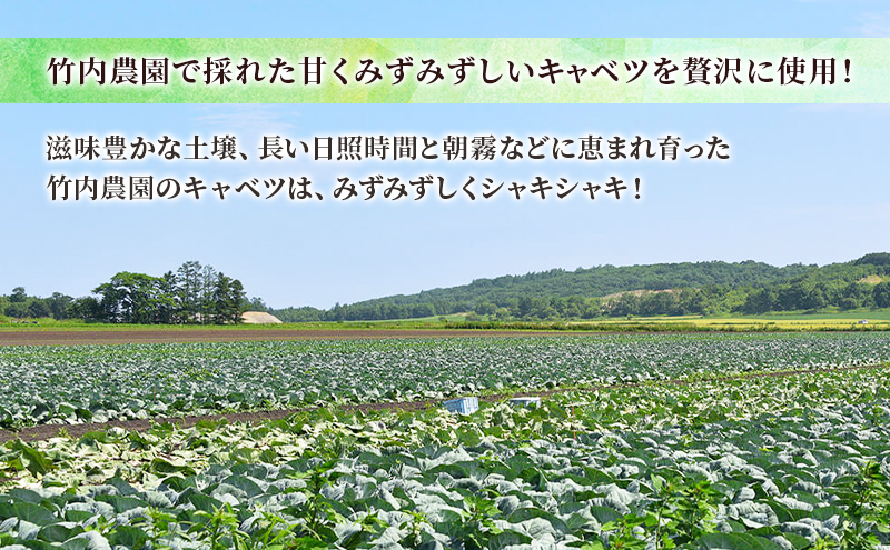 ボリューム満点 手作り冷凍餃子 45個 (15個×3袋)［錦華園］【 野菜 キャベツ たっぷり 厚い 手包み 手作り もちもち モチモチ 汁 町中華 中華 北海道 十勝 幕別 】