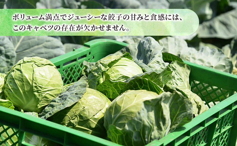 ボリューム満点 手作り冷凍餃子 45個 (15個×3袋)［錦華園］【 野菜 キャベツ たっぷり 厚い 手包み 手作り もちもち モチモチ 汁 町中華 中華 北海道 十勝 幕別 】