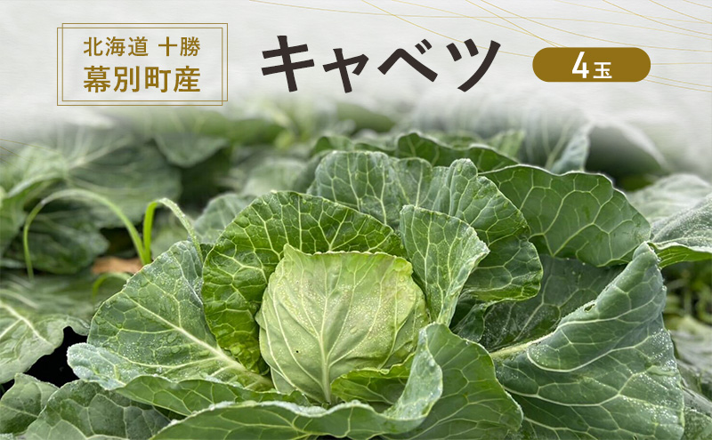 北海道 十勝 幕別町産 キャベツ 4玉 【 野菜 サラダ 産地直送 竹内農場 きゃべつ 葉野菜 ロールキャベツ 千切り 】