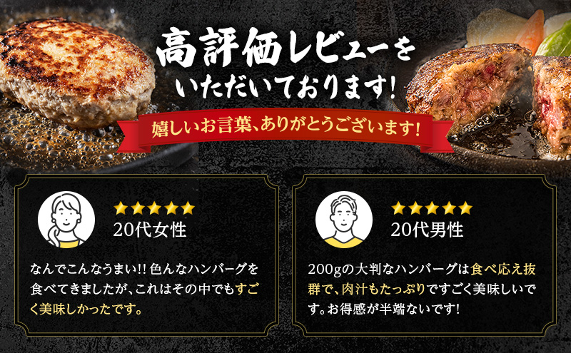 [大人気ハンバーグの定期便] 全3回/4ヶ月毎 合計66個 北海道 十勝牛 手ごねハンバーグ 200g×22個【 セット 牛100% 国産牛 牛肉 ハンバーグ パティ パテ 惣菜 小分け 冷凍 大きい 国産 北海道 十勝 幕別 ふるさと納税 送料無料 】