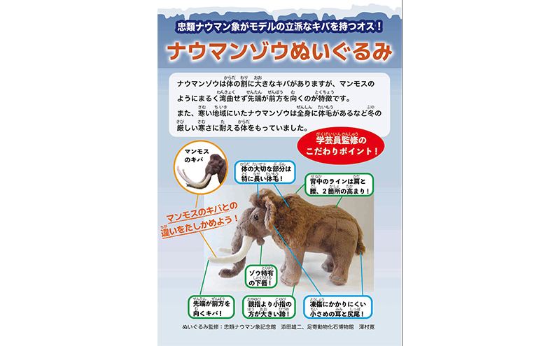 [北海道幕別町]学芸員監修＆子どもたちと作った！忠類ナウマンゾウぬいぐるみ2体 トレカ付き（小中学生制作のオリジナル学びの下げ札付き）【 ぬいぐるみ おもちゃ ふわふわ もこもこ ゆるキャラ トレカ 北海道 幕別 】