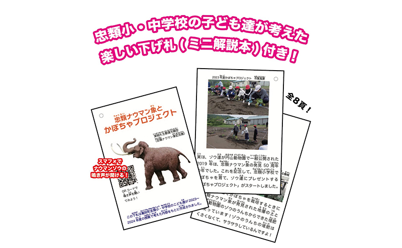 [北海道幕別町]学芸員監修＆子どもたちと作った！忠類ナウマンゾウぬいぐるみ2体 トレカ付き（小中学生制作のオリジナル学びの下げ札付き）【 ぬいぐるみ おもちゃ ふわふわ もこもこ ゆるキャラ トレカ 北海道 幕別 】