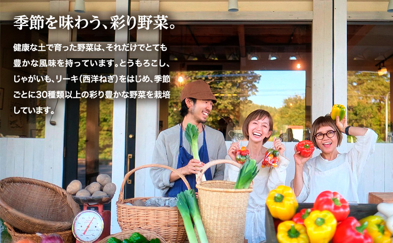 小笠原農園の有機野菜 3種詰合せ（とうや1.5kg・北海こがね1.5kg・リーキ3kg）北海道 十勝 幕別《2026年秋出荷先行予約》【 野菜 芋 じゃがいも ねぎ ネギ 葱 セット 】