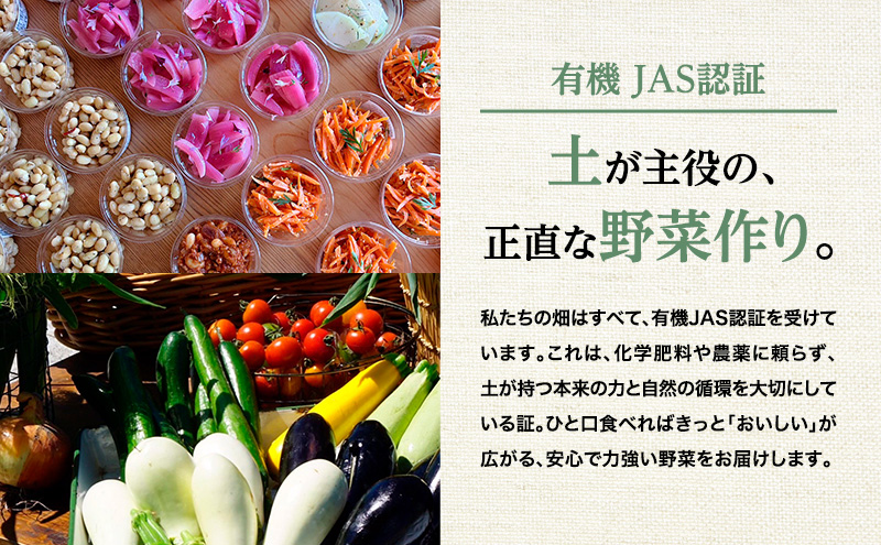 小笠原農園 有機野菜 4種 詰め合わせ きたあかり 1kg アロマレッド 500g 玉ねぎ 1kg リーキ 3kg 2025年秋出荷 先行予約 北海道 野菜 芋 じゃがいも 人参 たまねぎ ネギ セット 野菜セット